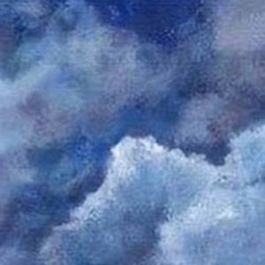 Meet your Posher, Raymoni